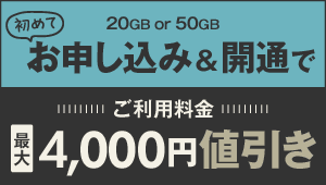 初めてお申し込み＆開通で最大4,000円値引きキャンペーン